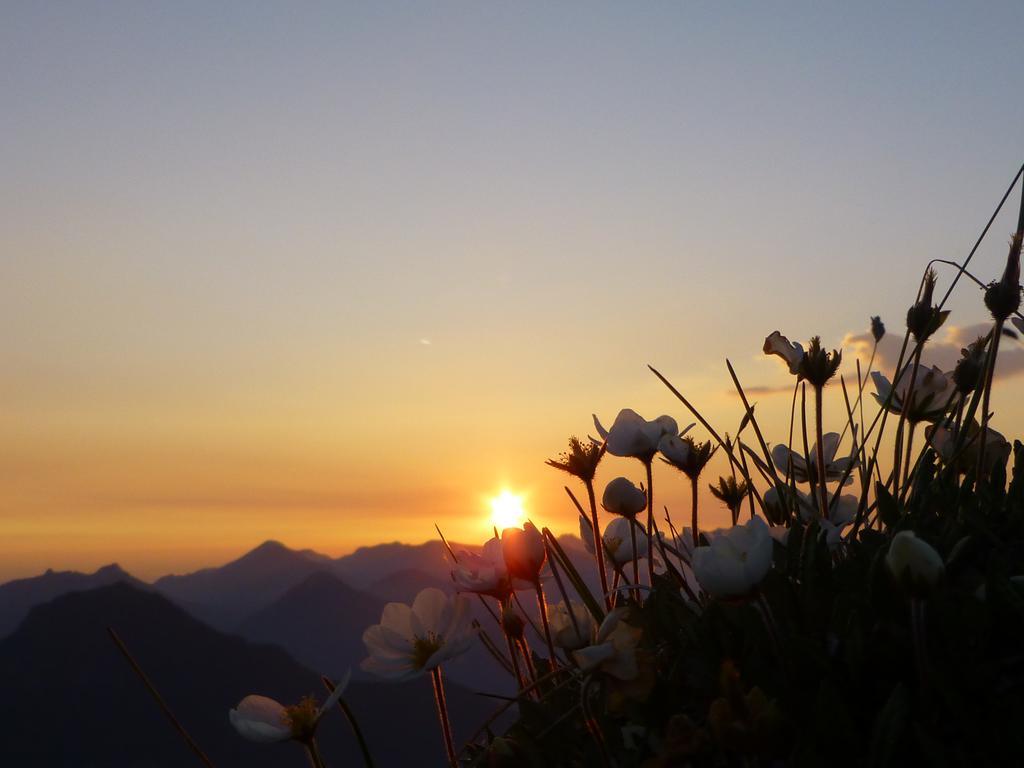 Pension Wagnerhof Oberaudorf Bagian luar foto